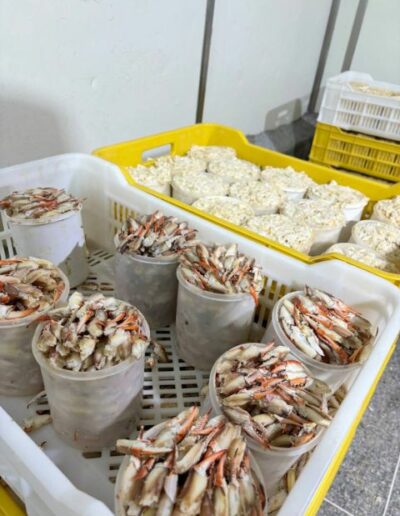 Crab Meat, exprolago, exprolago.com, Exquisite Blue Crab Delicacies, Pre-Cooked Blue Crab Meat